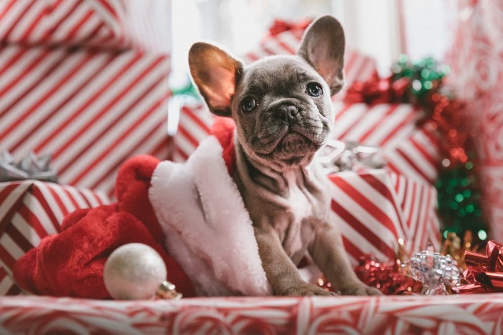 God jul: Schwedische Süßigkeiten für Weihnachten 29