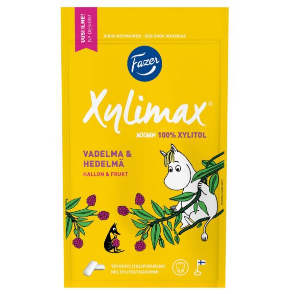 Fazer Moomin Xylimax Raspberry & Fruit Chewing Gum (100g) *SONDERPREIS wegen abgelaufener Haltbarkeit*