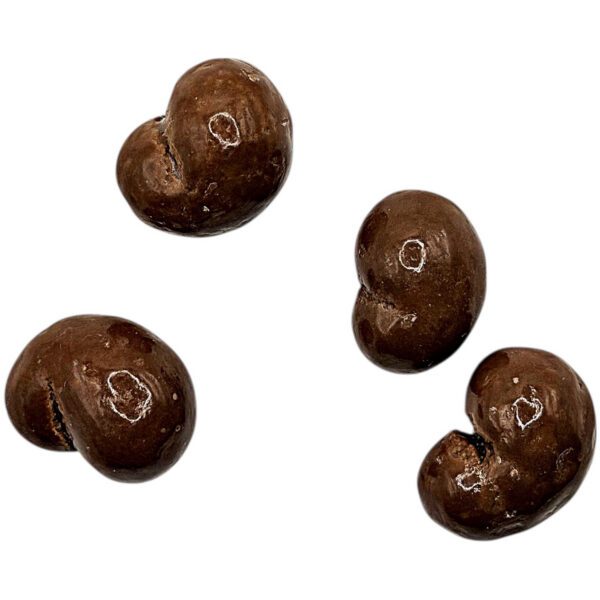 ERT GODIS CHOCO/CASHEW – CASHEWKERNE IN MILCHSCHOKOLADE
